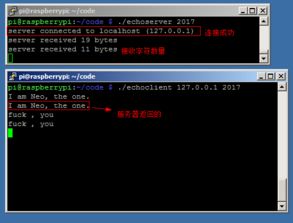 深入理解計算機系統(tǒng) 網(wǎng)絡(luò)編程的核心原理與實踐